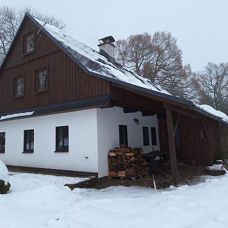 Villa Chalupa U Krizku Ricky V Orlickych Horach Exterior foto