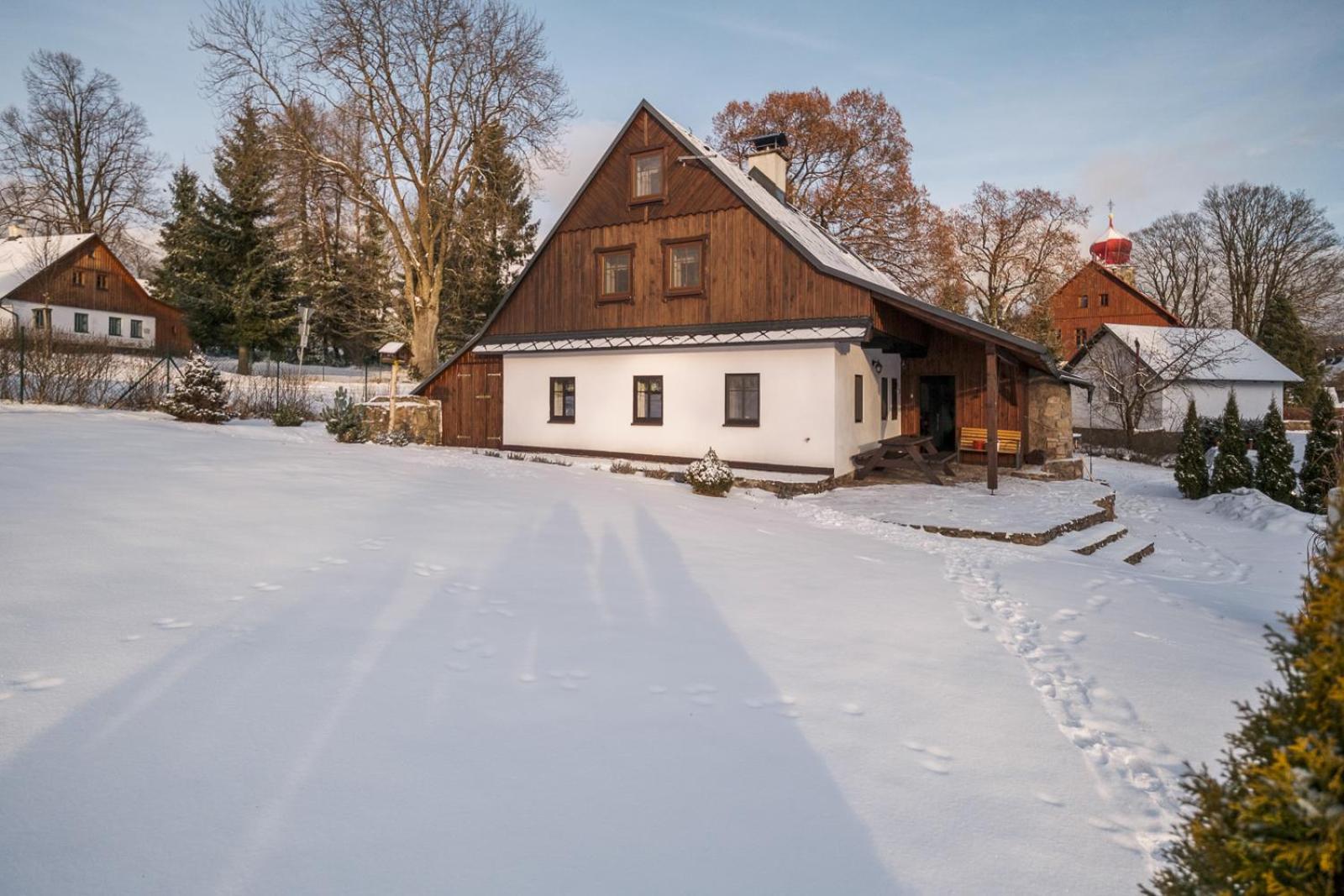 Villa Chalupa U Krizku Ricky V Orlickych Horach Exterior foto